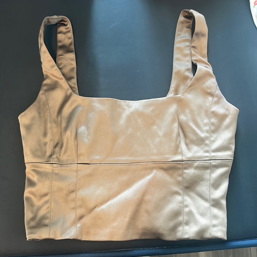 Aritzia corset